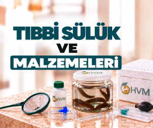 Tıbbi Sülük ve Malzemeleri 