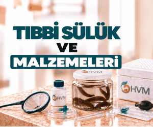 Tıbbi Sülük ve Malzemeleri 
